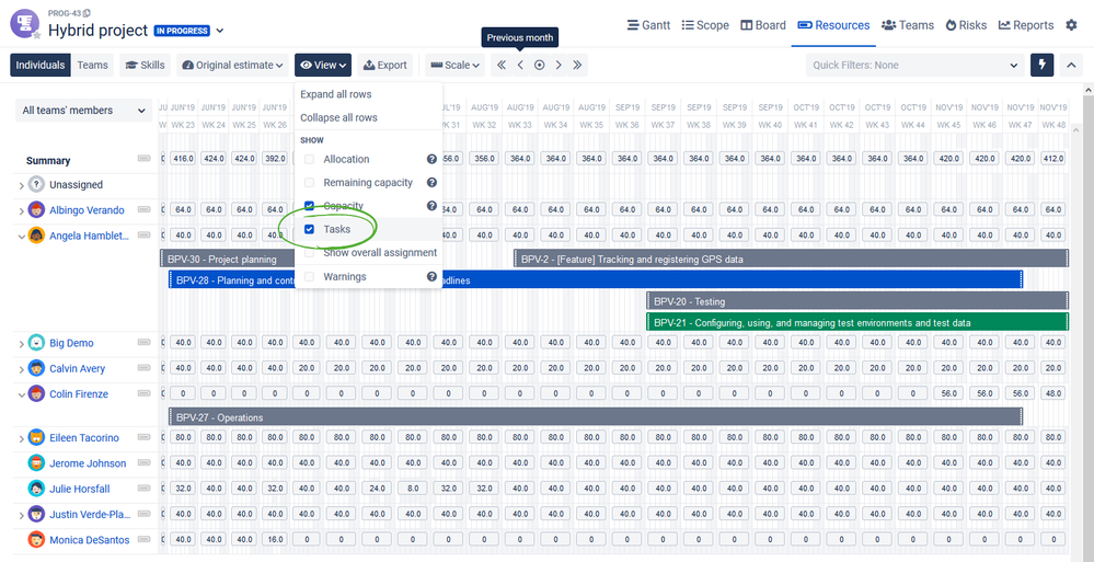 bigpicture-resource-planning-with-tasks.png
