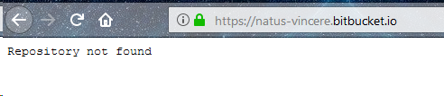 repo.png