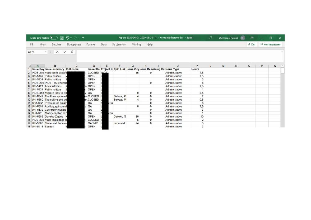 report excel.jpg