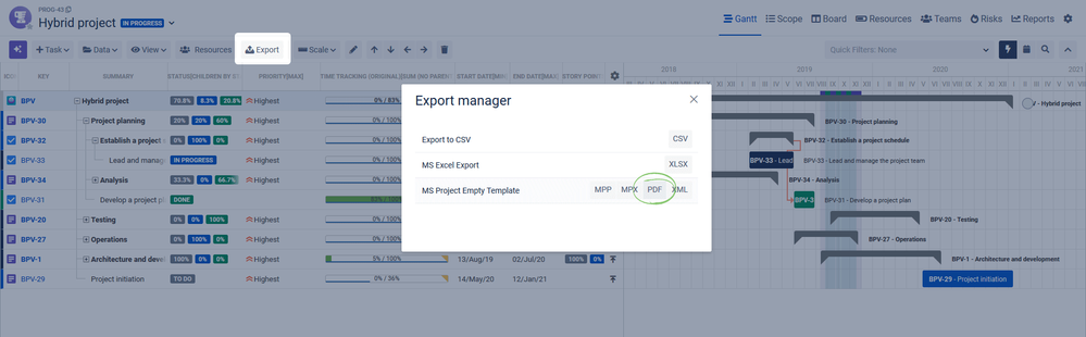 export-pdf-bigpicture.png