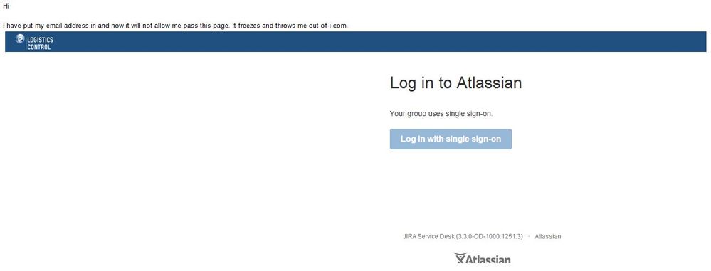 Jira Issue.JPG