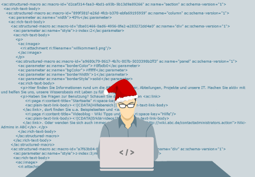 14-programmer.png
