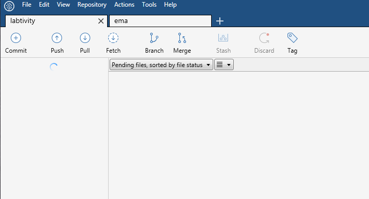 prueba-sourcetree.png