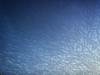 84854AE6-15D8-4EAF-A546-790802FD50C6.jpeg