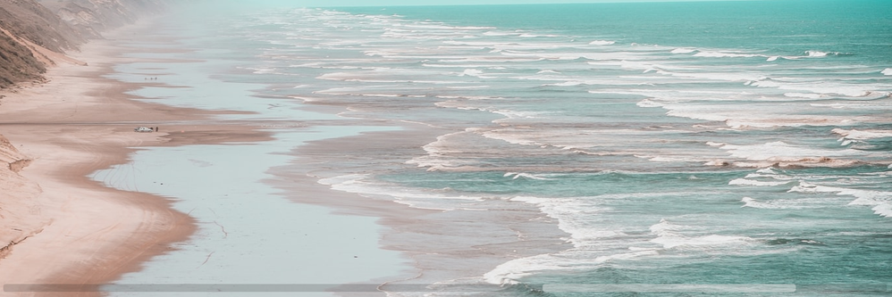 80274603_671588596703954_4251615798784688128_n.png