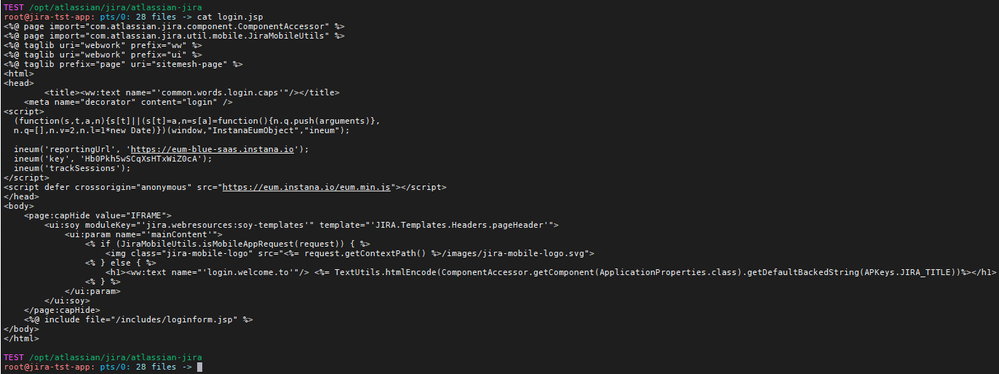 login.jsp_modifications.png