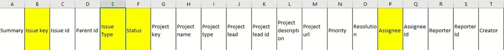 Jira report header.jpg