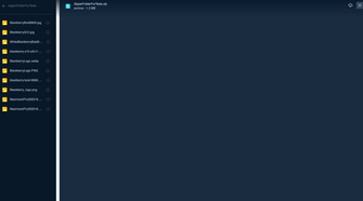 Screen Shot 2021-02-12 at 15.52.51.png