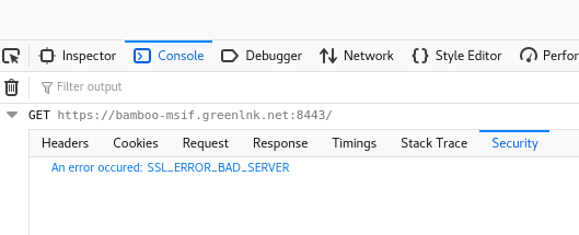 SecurityError.PNG