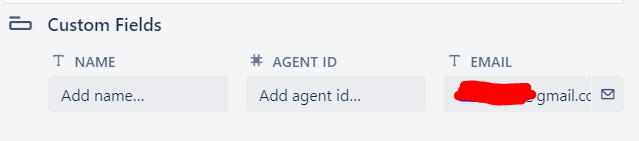 Custom field.PNG