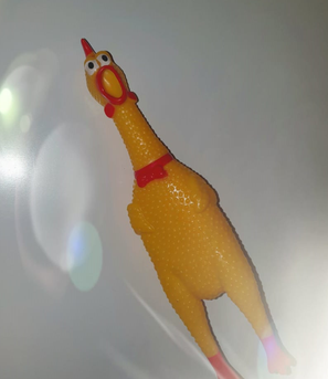 chicken1.png