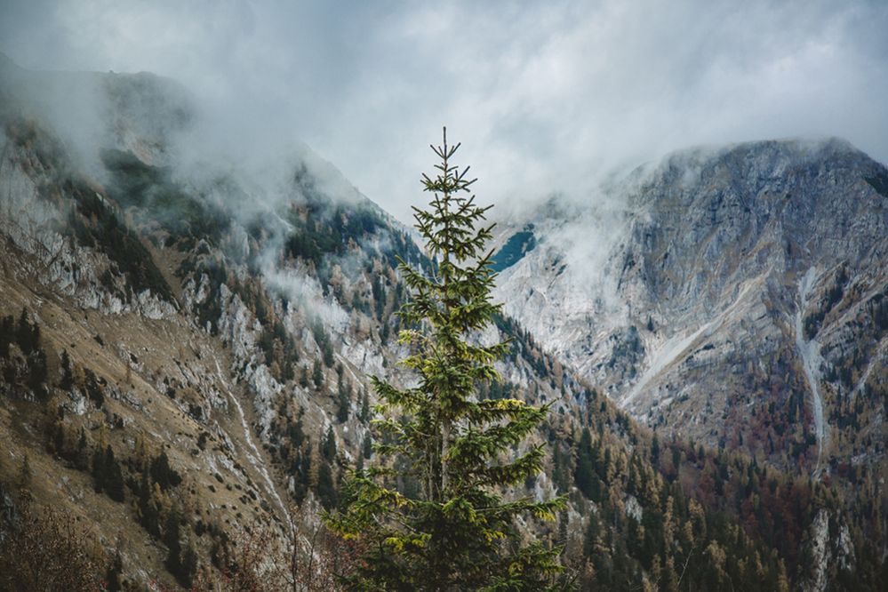 pexels-mareks-steins-3270225.jpg