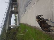 20210505_073024.jpg