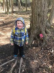 IMG_2542.JPEG
