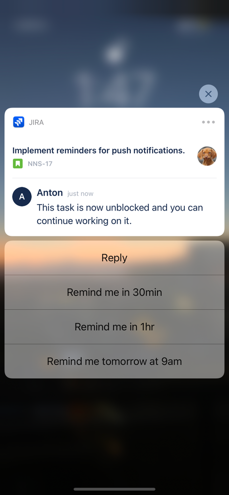 Image from iOS.png