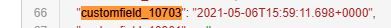 Datefield_REST_API.JPG