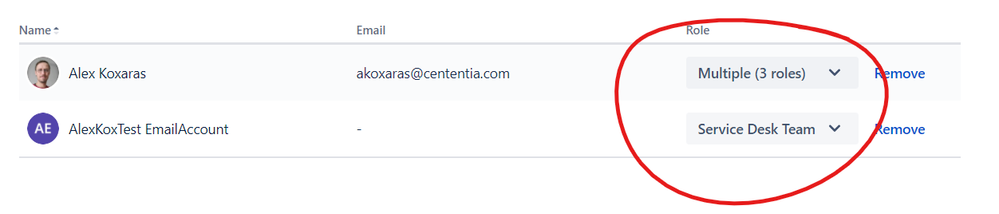 roles.png