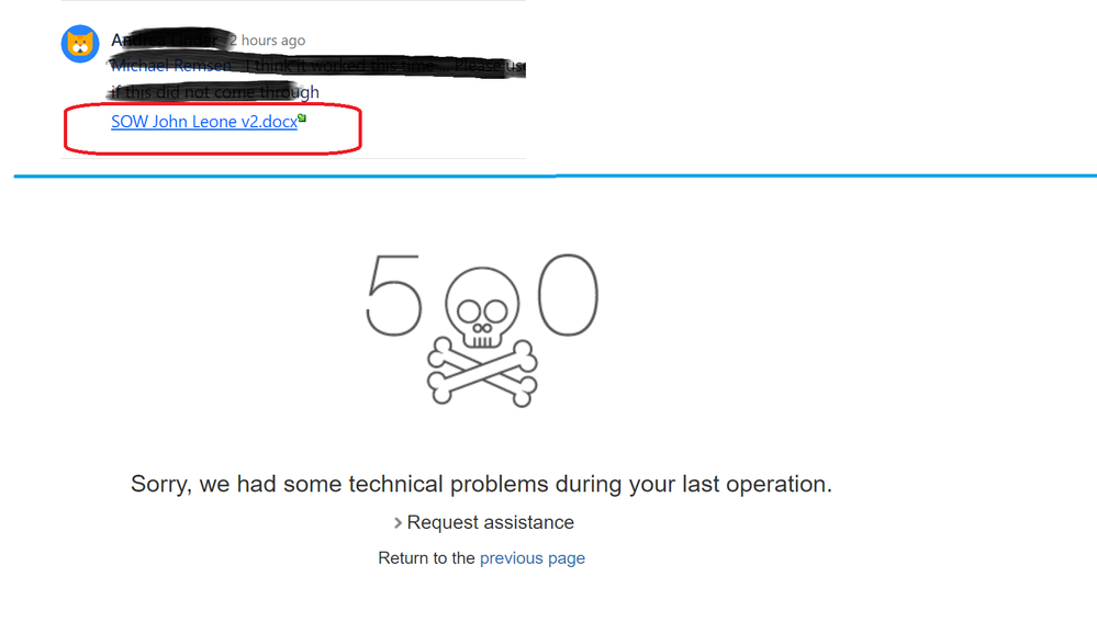 Error Customer portal.png