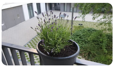 Bild1.png