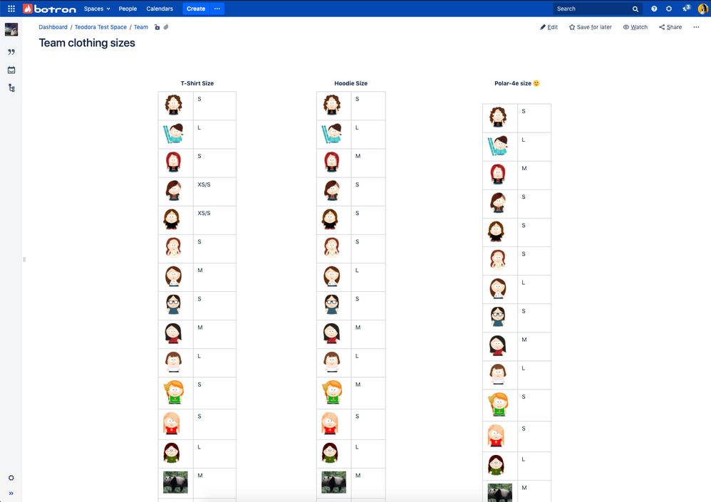 Confluence-Page-Team.jpg