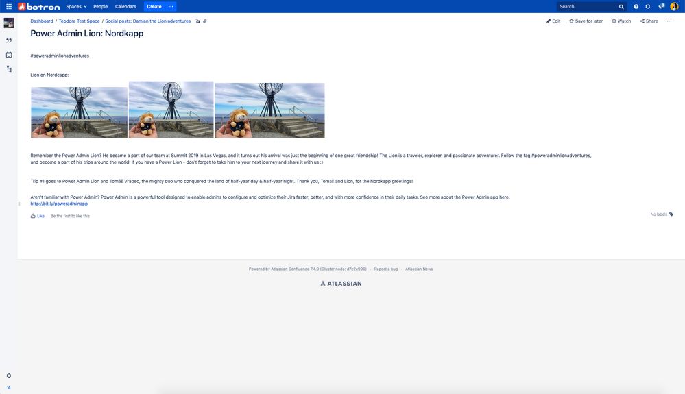 Confluence-Page-Power-Lion.jpg