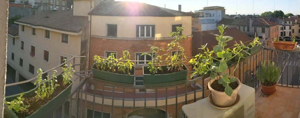 PXL_20210525_173547882.PANO.jpg
