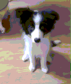 3F1C22AE-517E-4709-8471-A5211D2E1C28.gif