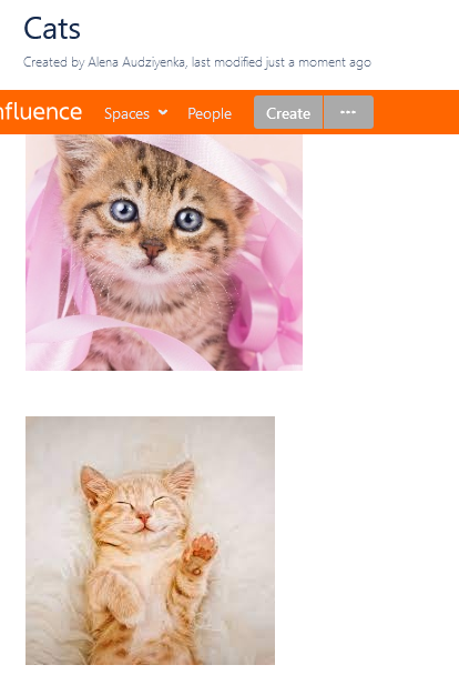 separate images.png