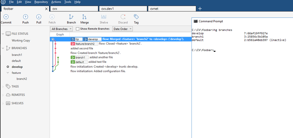 sourcetree.png