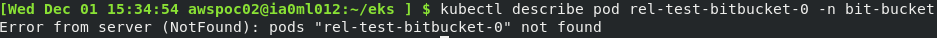 kubectl_describe-pod.png