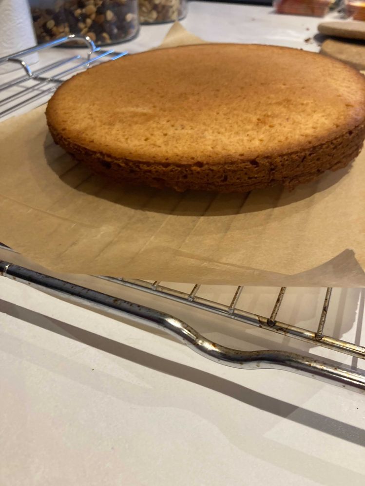 Image from iOS (1).jpg