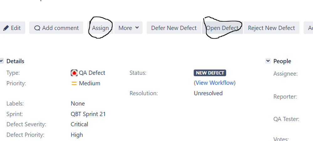 View issue detail.PNG