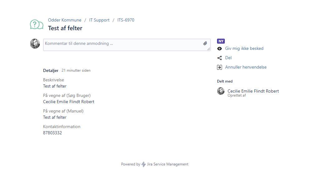 Skærmbillede Jira.JPG