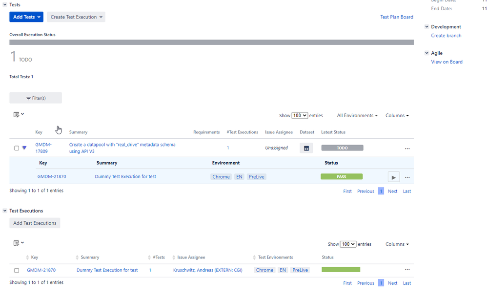 2022-02-01 09_19_12-[GMDM-21869] Dummy Test Plan For Test - DevStack Jira.png
