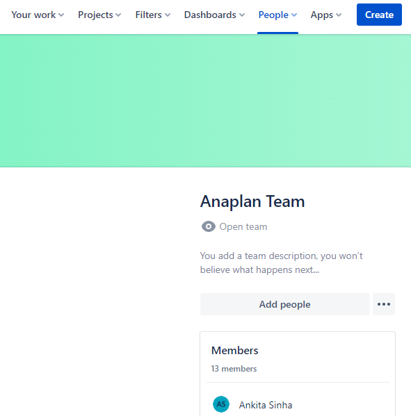 Anaplan Team.PNG