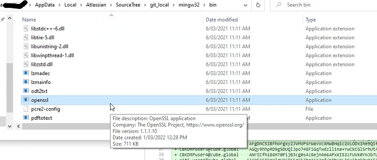 OpenSSL.version1.png