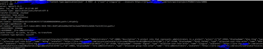 curl command.PNG