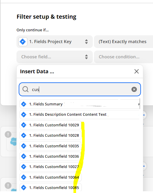 zapier_customfield.PNG