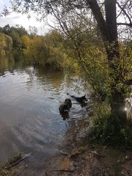 20210925_093235.jpg