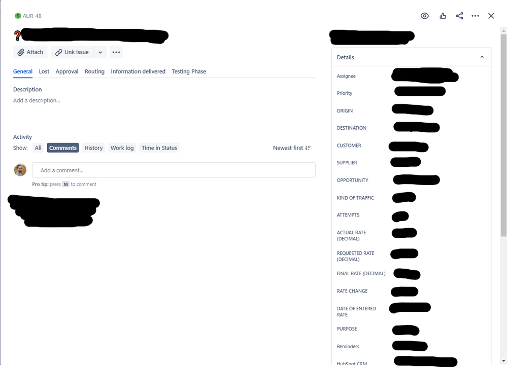 Issue screen.png
