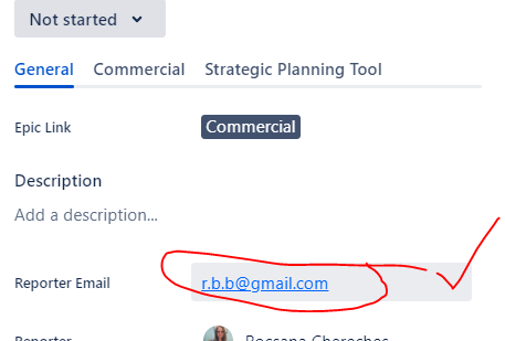 reporter email.PNG