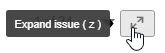 Expand Issue Icon.jpg