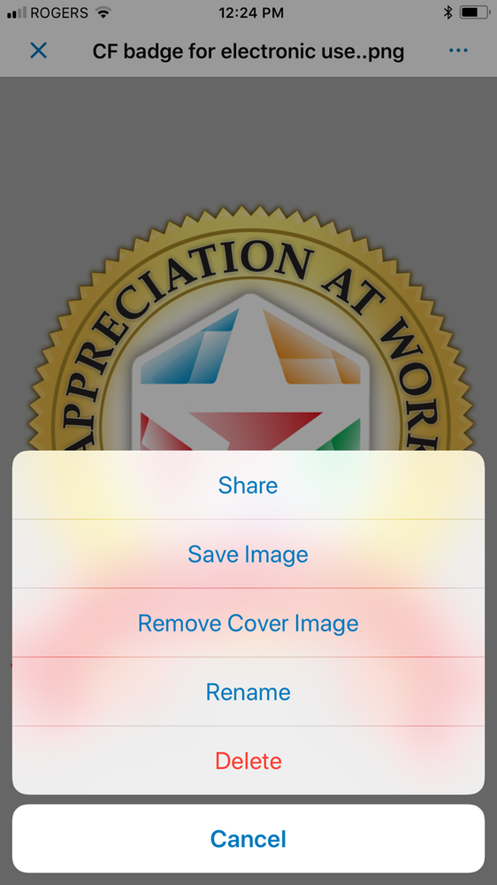 IMG_4476.PNG