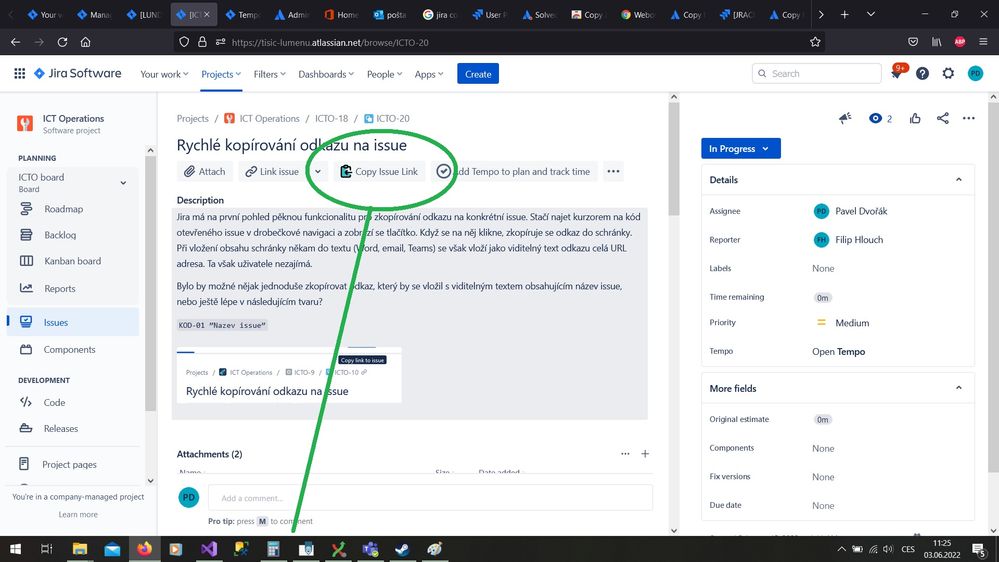 button to show panel copy link.jpg
