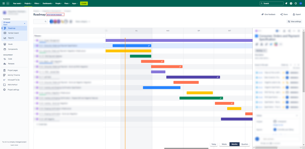 JIra_RoadMap issue.png