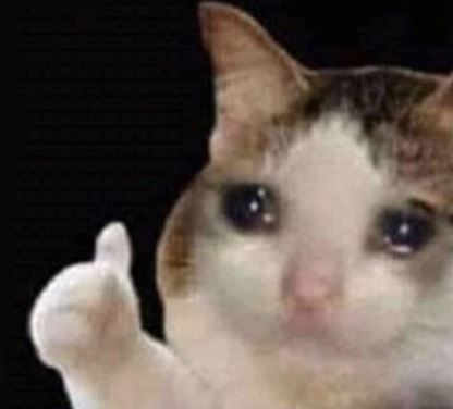 cat.JPG