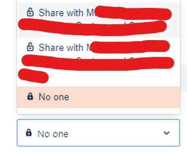 jira issue 3.jpg