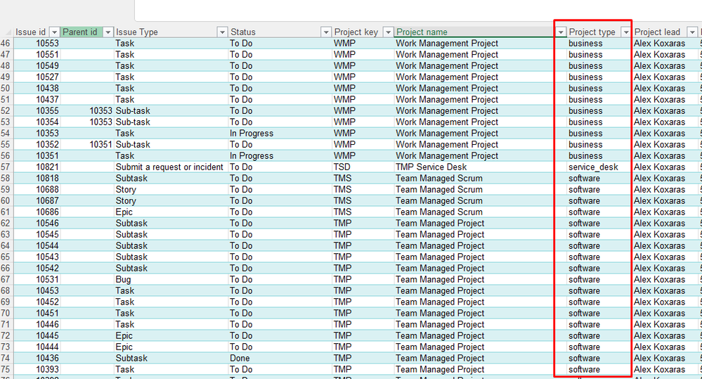 project type.png