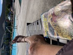 IMG-5362.jpg