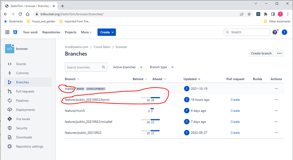 1_browser_branches.png
